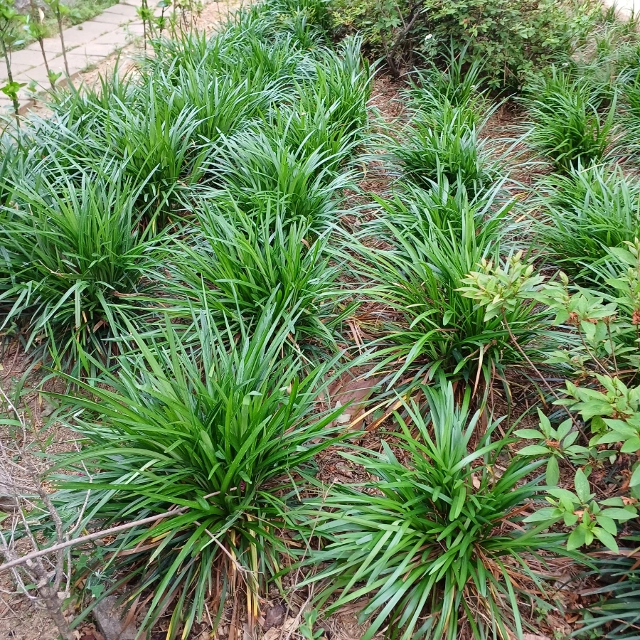 20220609%EF%BC%BF164131.jpg?type=w1