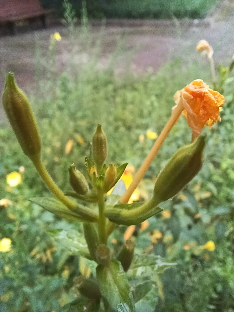 20220829%EF%BC%BF065334.jpg?type=w1