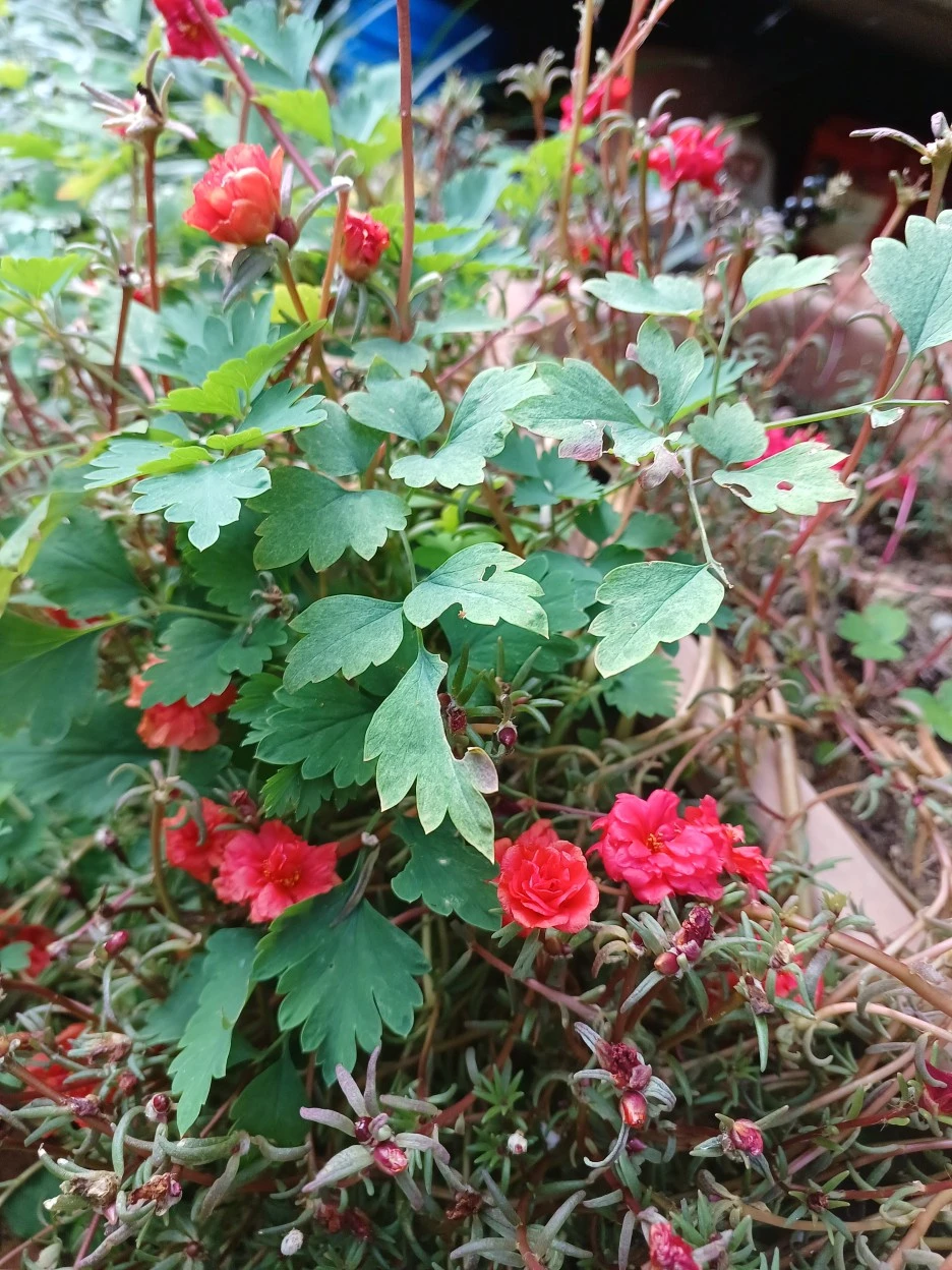 20221015_150115.jpg?type=w1