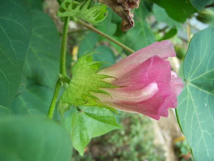 result_2006_8_1_16_48_58_421_36-lysook7.jpg?typew1