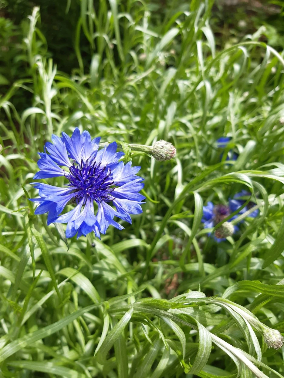 20210506_113225.jpg?type=w1