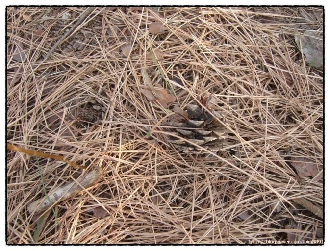 %EB%8B%A4%EC%9A%B4%EB%A1%9C%EB%93%9C.jpg?typew1