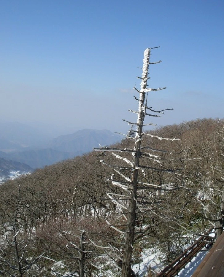 %EC%9B%B9_%EC%BA%A1%EC%B2%98_19-2-2022_122556_blog.daum.net.jpeg?type=w1