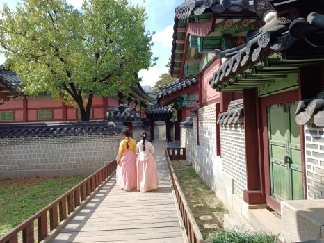 20241009_123436.jpg?type=w466