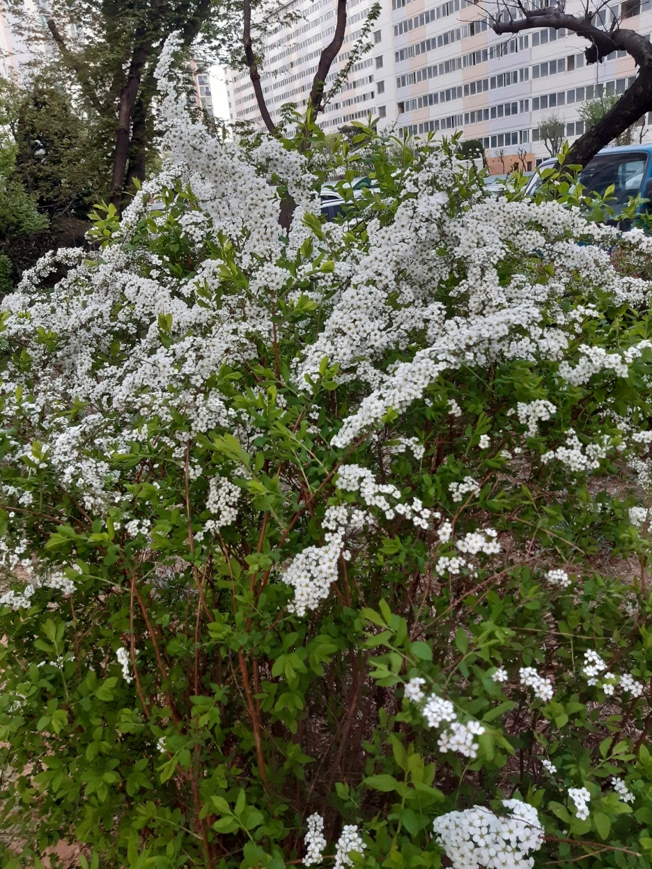 20220414_185600.jpg?type=w1