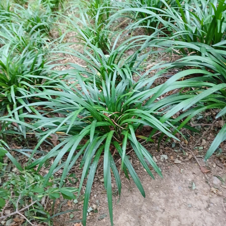 20220609%EF%BC%BF164145.jpg?type=w1