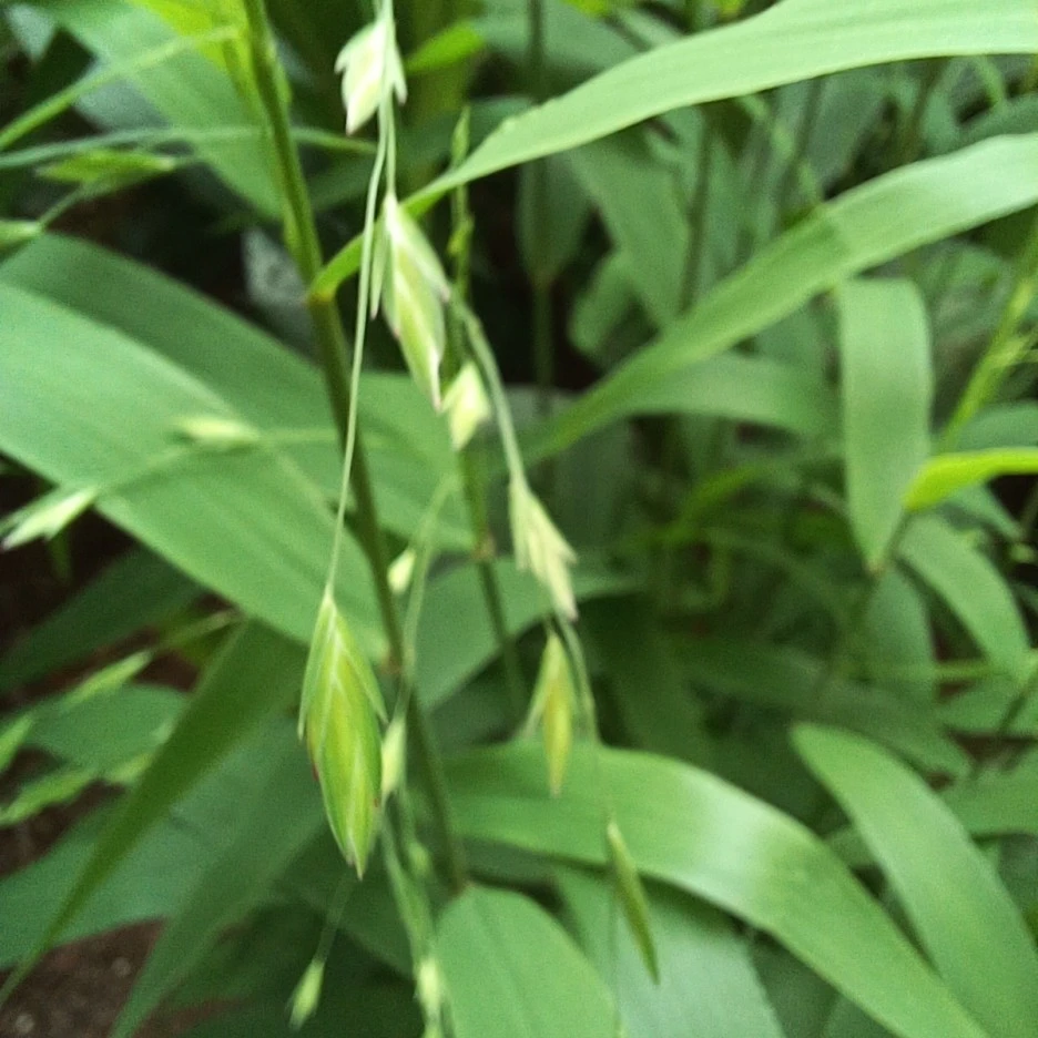 20220619_172751.jpg?type=w1