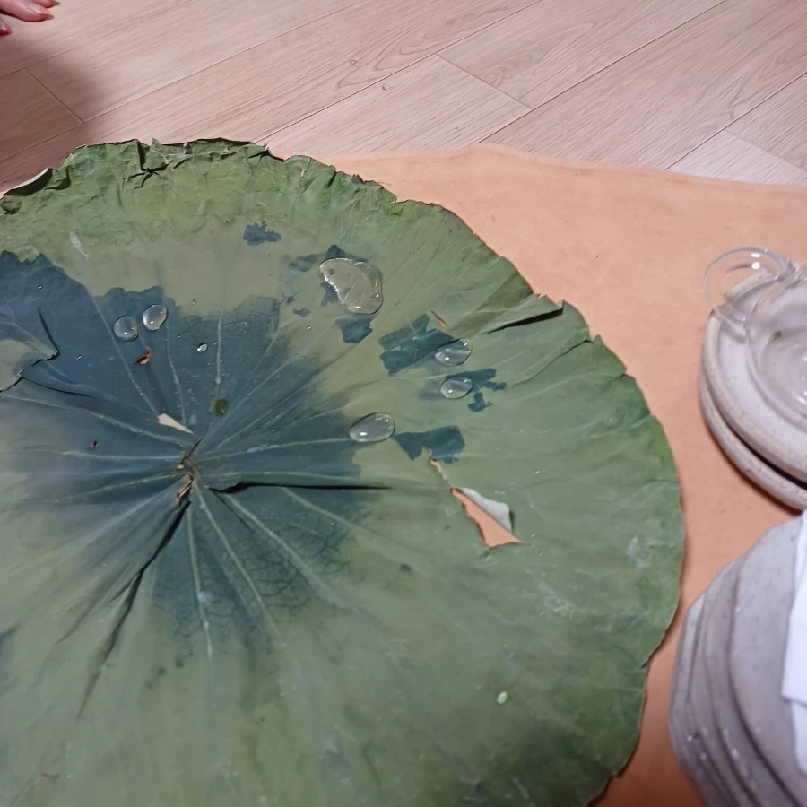 20220717%EF%BC%BF202828.jpg?type=w1