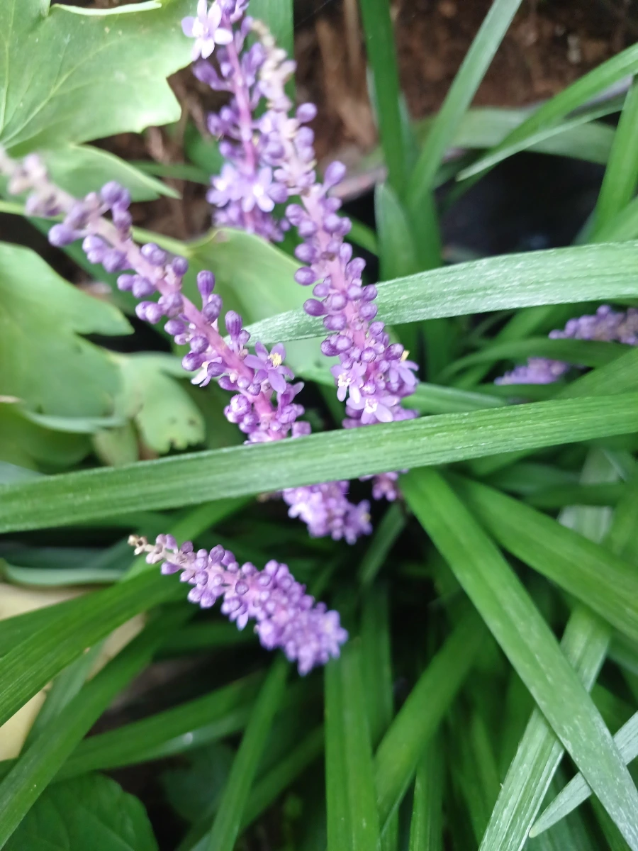 20220726%EF%BC%BF153511.jpg?type=w1