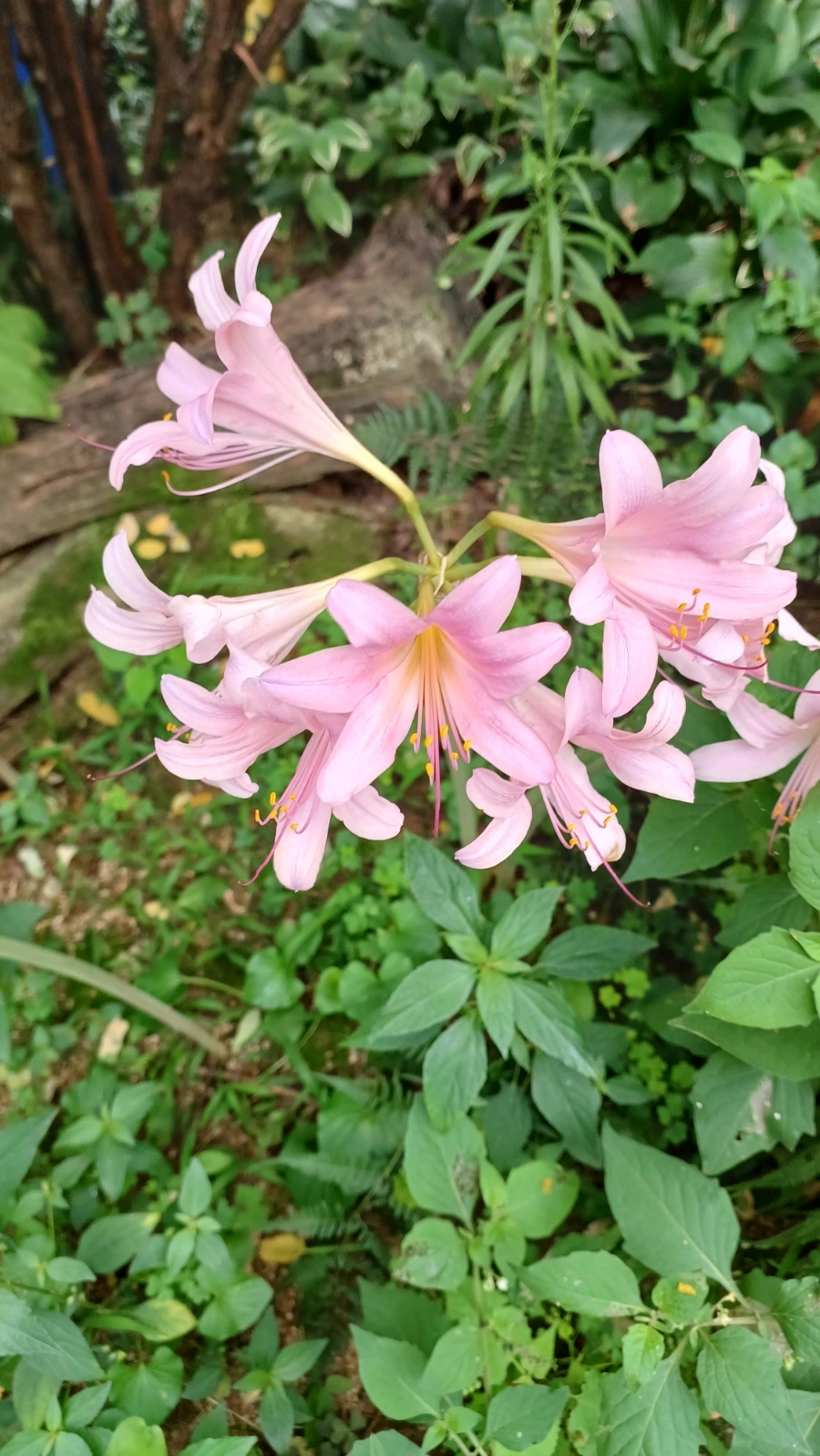 20220818%EF%BC%BF152949.jpg?type=w1