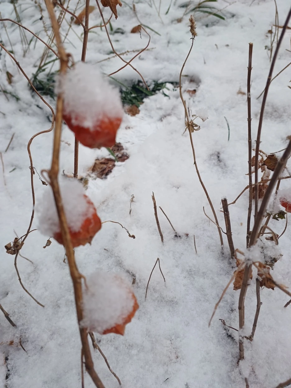 20221215_133208.jpg?type=w1