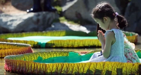 %EC%8A%A4%ED%81%AC%EB%A6%B0%EC%83%B7_25-10-2024_16228_www.yna.co.kr.jpeg?type=w466