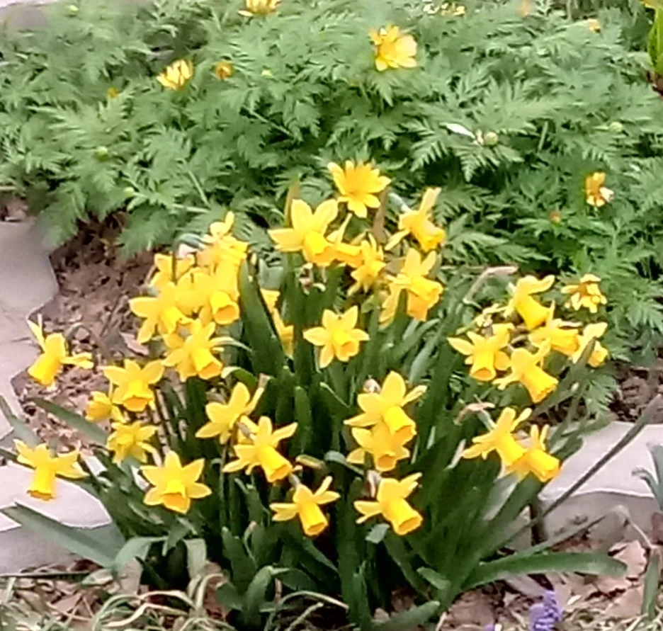 SE-cb5435cd-a69c-4d2e-b61b-65bc8ce4b3b5.jpg?type=w1