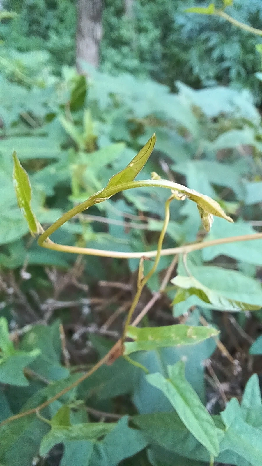 20220816%EF%BC%BF162308.jpg?type=w1