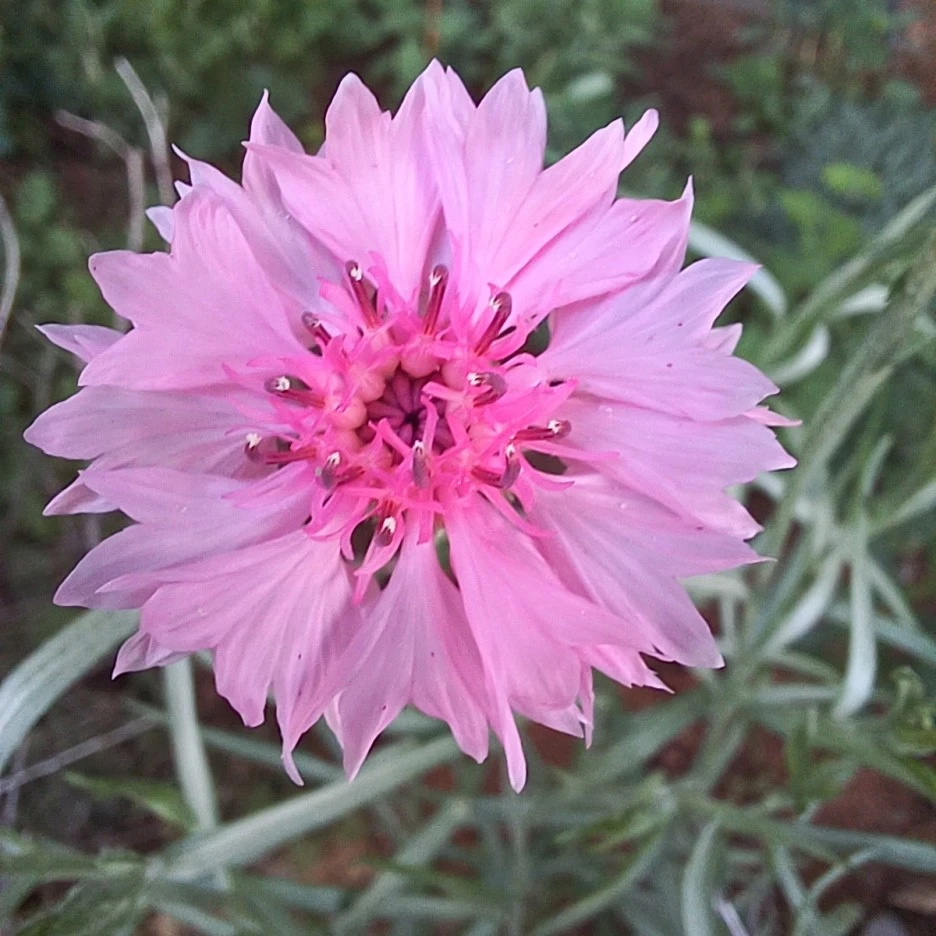 20220515_170137.jpg?type=w1