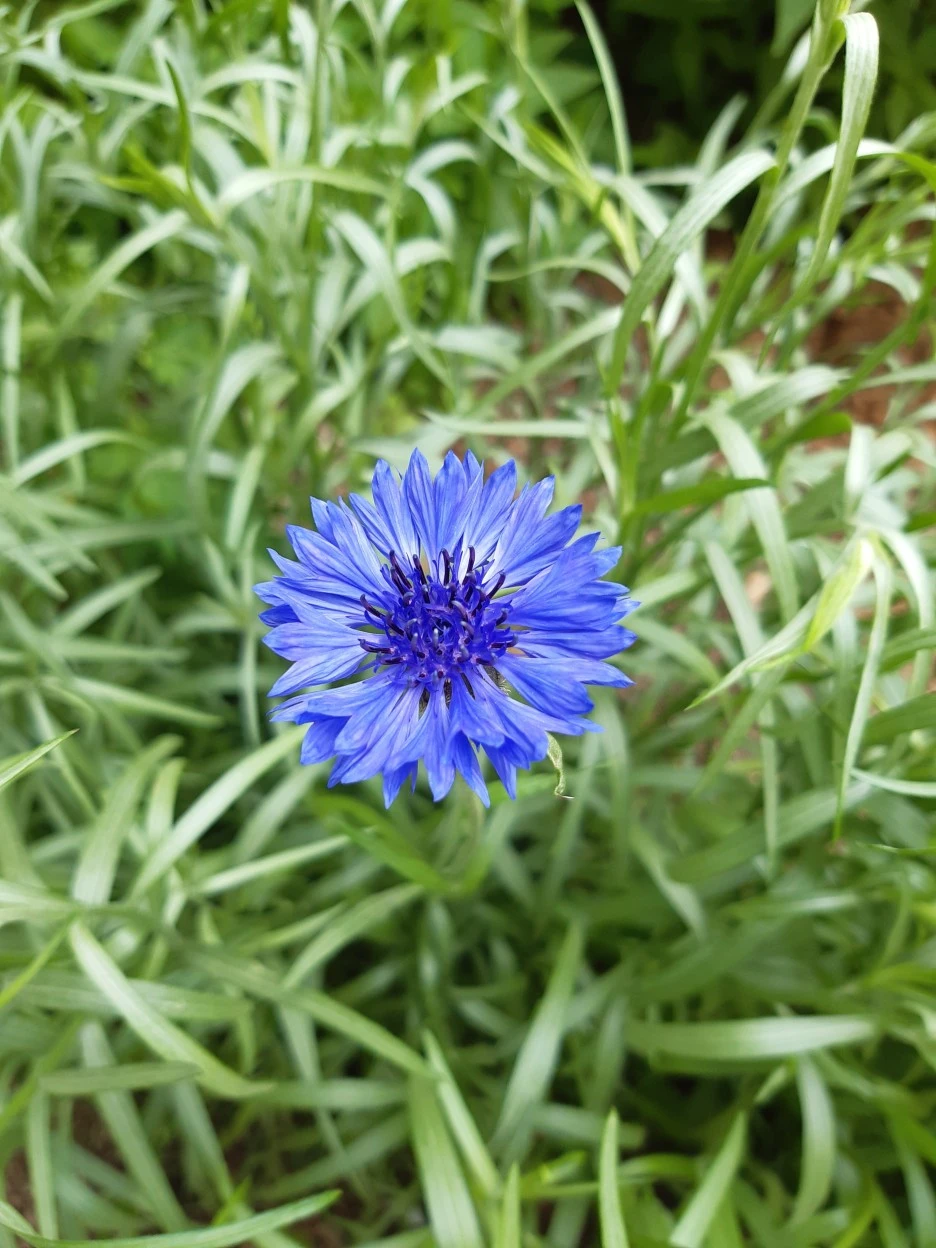 20210426_112719.jpg?type=w1