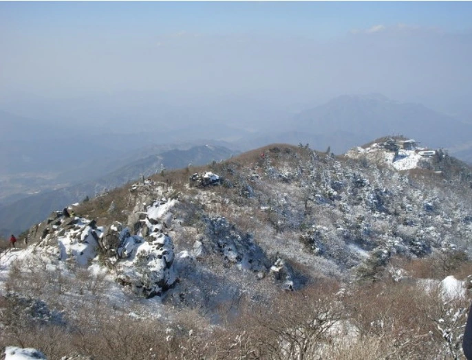 %EC%9B%B9_%EC%BA%A1%EC%B2%98_19-2-2022_12330_blog.daum.net.jpeg?type=w1