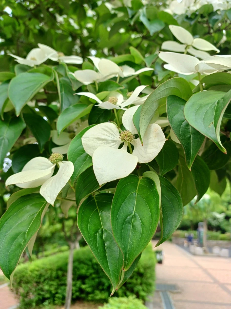 20230513_155926.jpg?type=w1