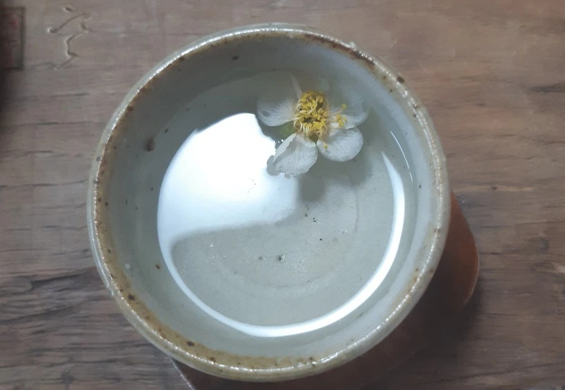 SE-5dd275b3-953b-4f9e-ba0c-252cc0be5ebd.jpg?type=w1