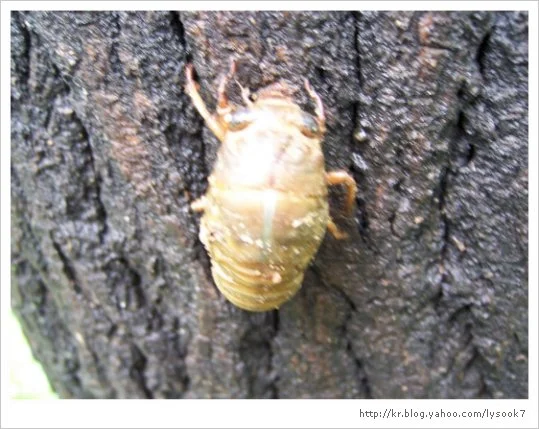 img_33_461_5.jpg?type=w1