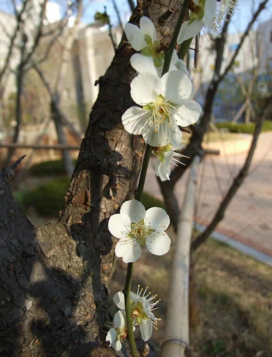 %EC%9B%B9_%EC%BA%A1%EC%B2%98_7-4-2022_8186_blog.daum.net.jpeg?type=w1