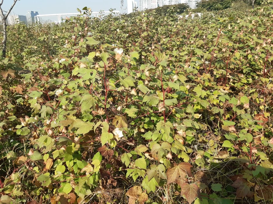 20211023_140312.jpg?type=w1