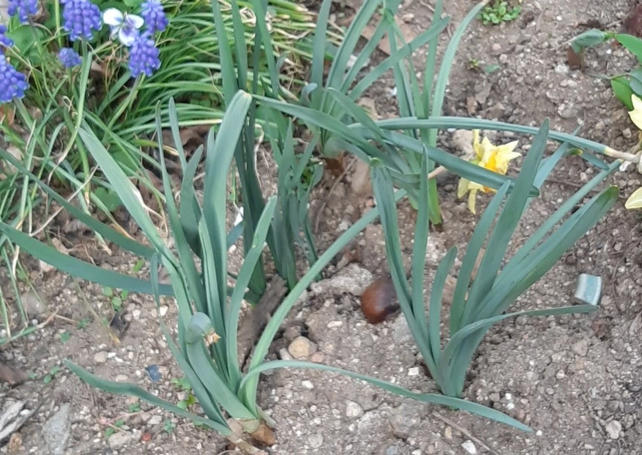 SE-42e18303-5054-43d0-9e26-274f5b9c4aaa.jpg?type=w1