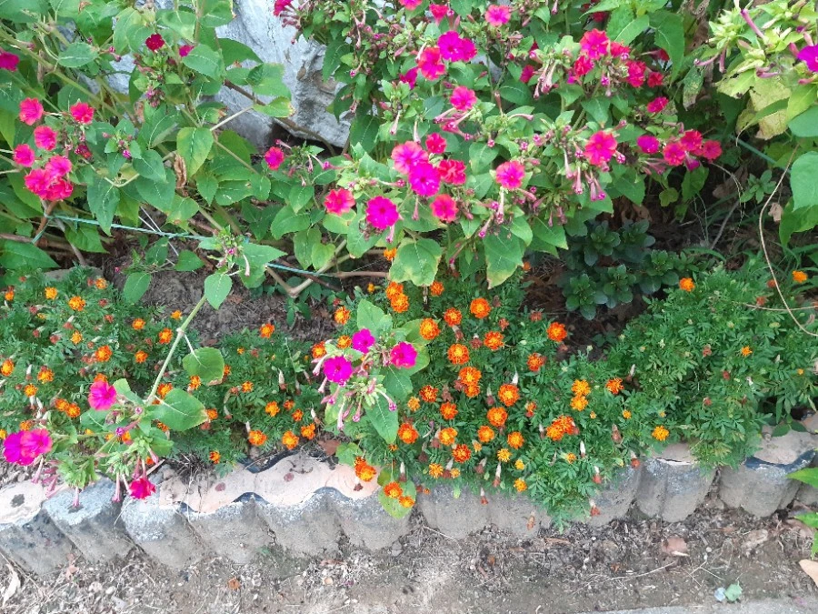 20210819%EF%BC%BF185456.jpg?type=w1