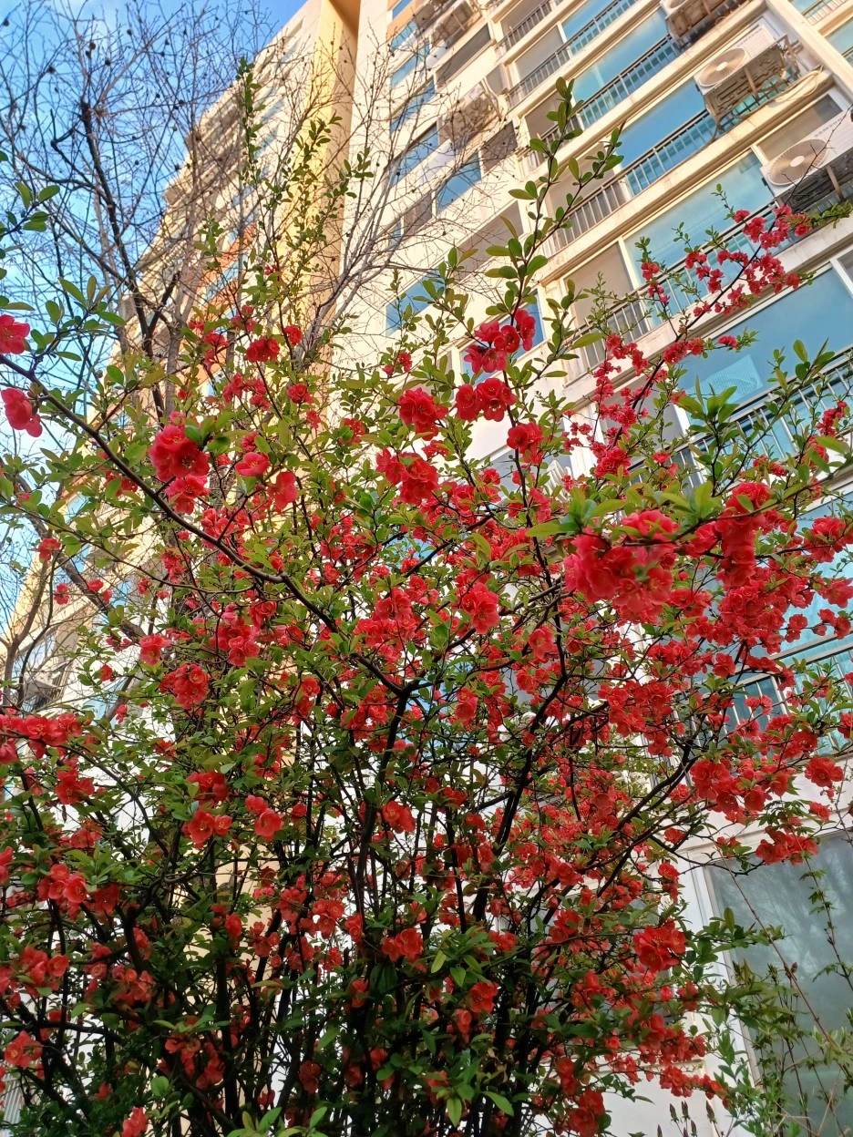 20230402_071613.jpg?type=w1