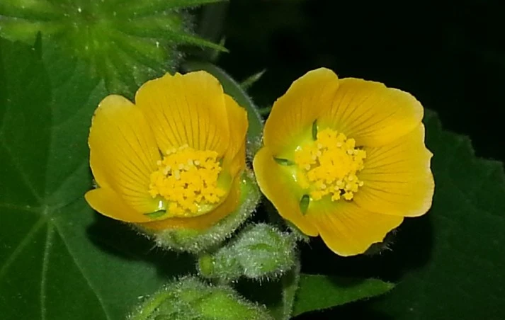 20160912-%EC%96%B4%EC%A0%80%EA%B7%80_(8).jpg?type=w1