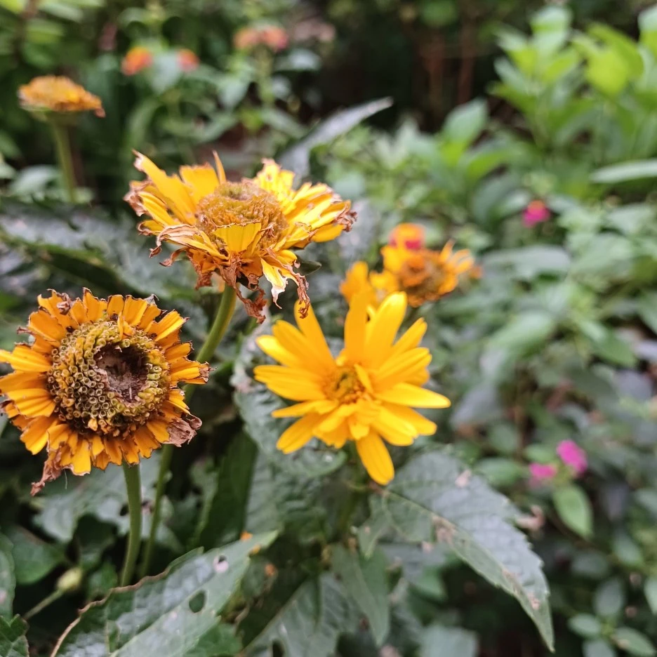 20220623_054024.jpg?type=w1