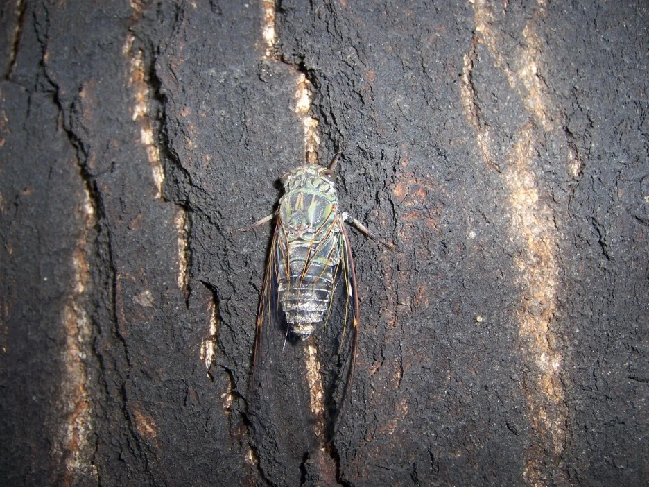 100_4129.jpg?type=w1