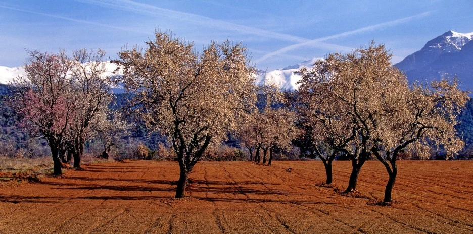 SE-1cbe18ad-875b-4c09-8d02-524d4bdac73e.jpg?type=w1