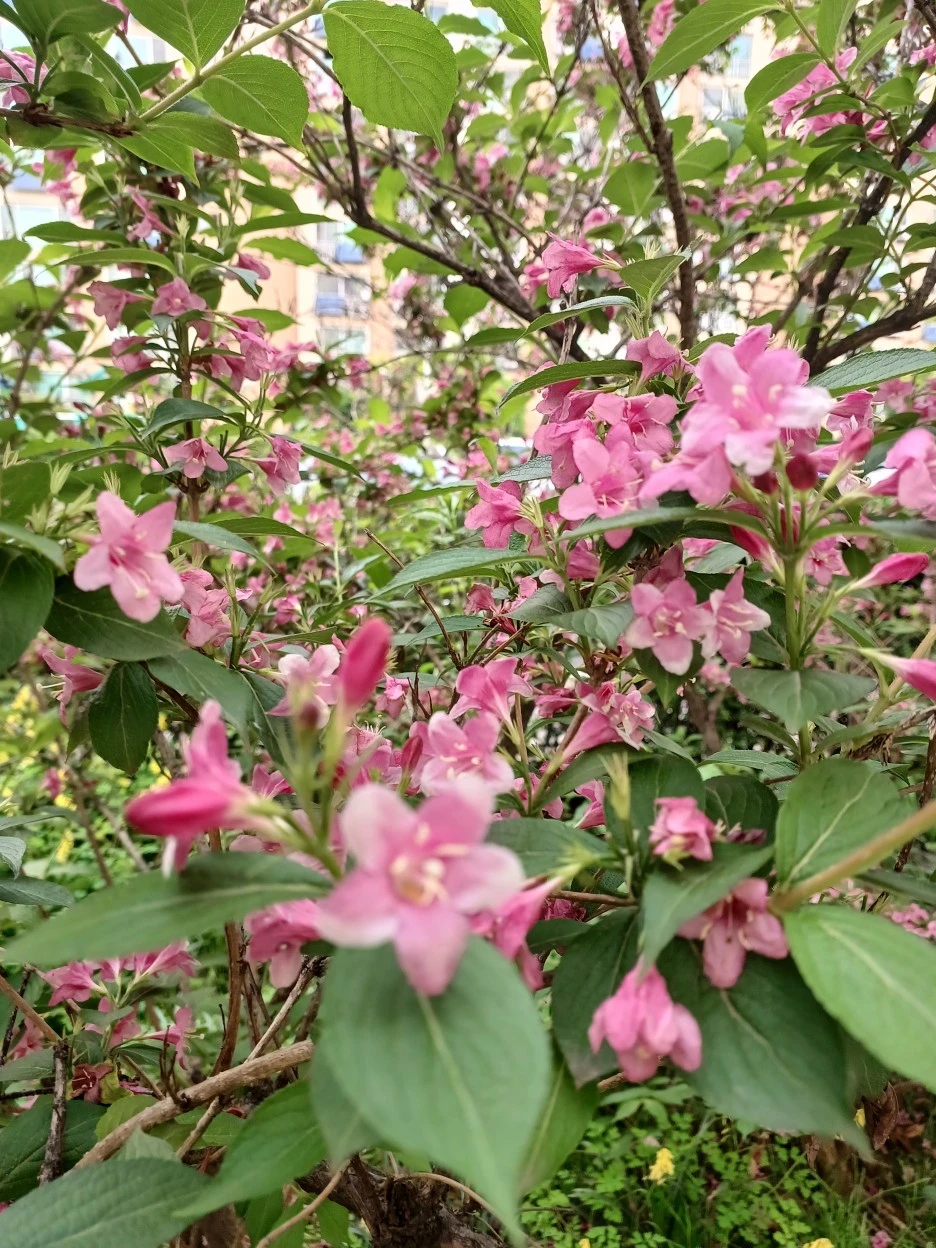 20230507%EF%BC%BF172354.jpg?type=w1