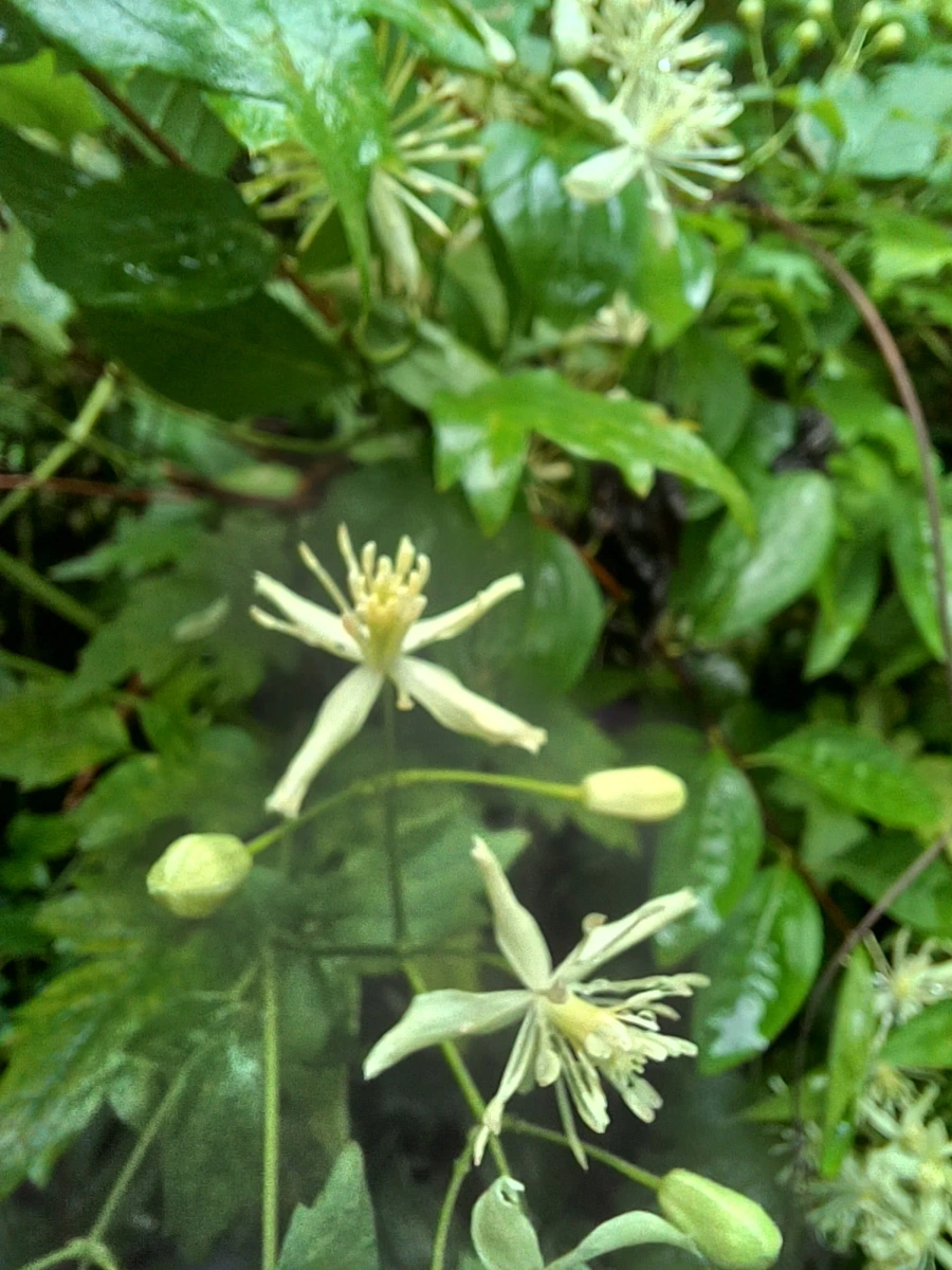 20220829%EF%BC%BF142149.jpg?type=w1