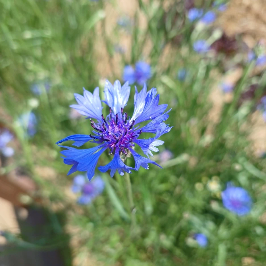 20220516_130223.jpg?type=w1