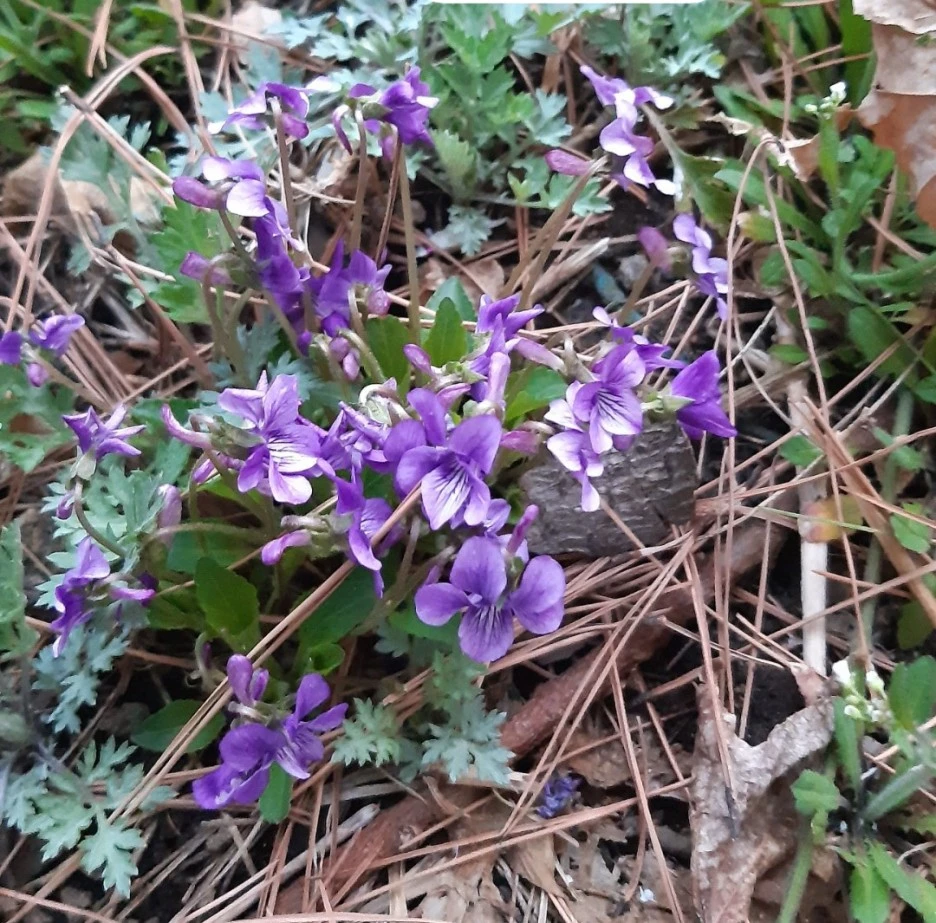 SE-b0a9e1a3-86c2-4ae9-840e-61c6da9a8e6c.jpg?type=w1