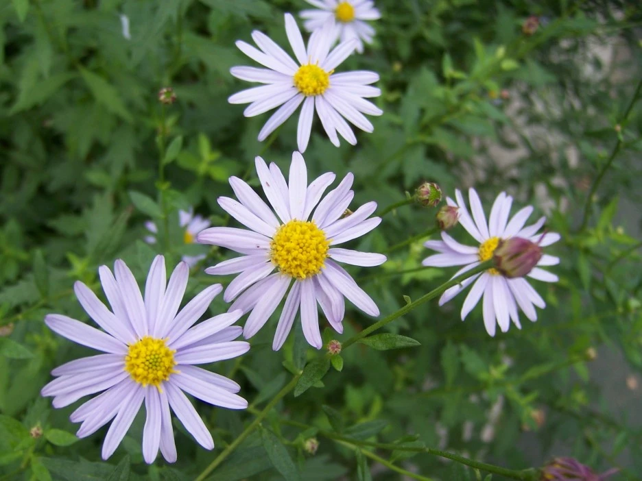 0_%EA%B0%80%EA%B0%80_%EC%91%A5%EB%B6%80%EC%9F%81%EC%9D%B4.jpg?type=w1