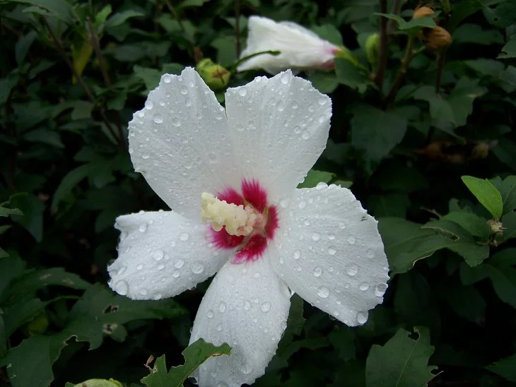 result_2006_7_2_16_13_4_140_20-lysook7.jpg?type=w1