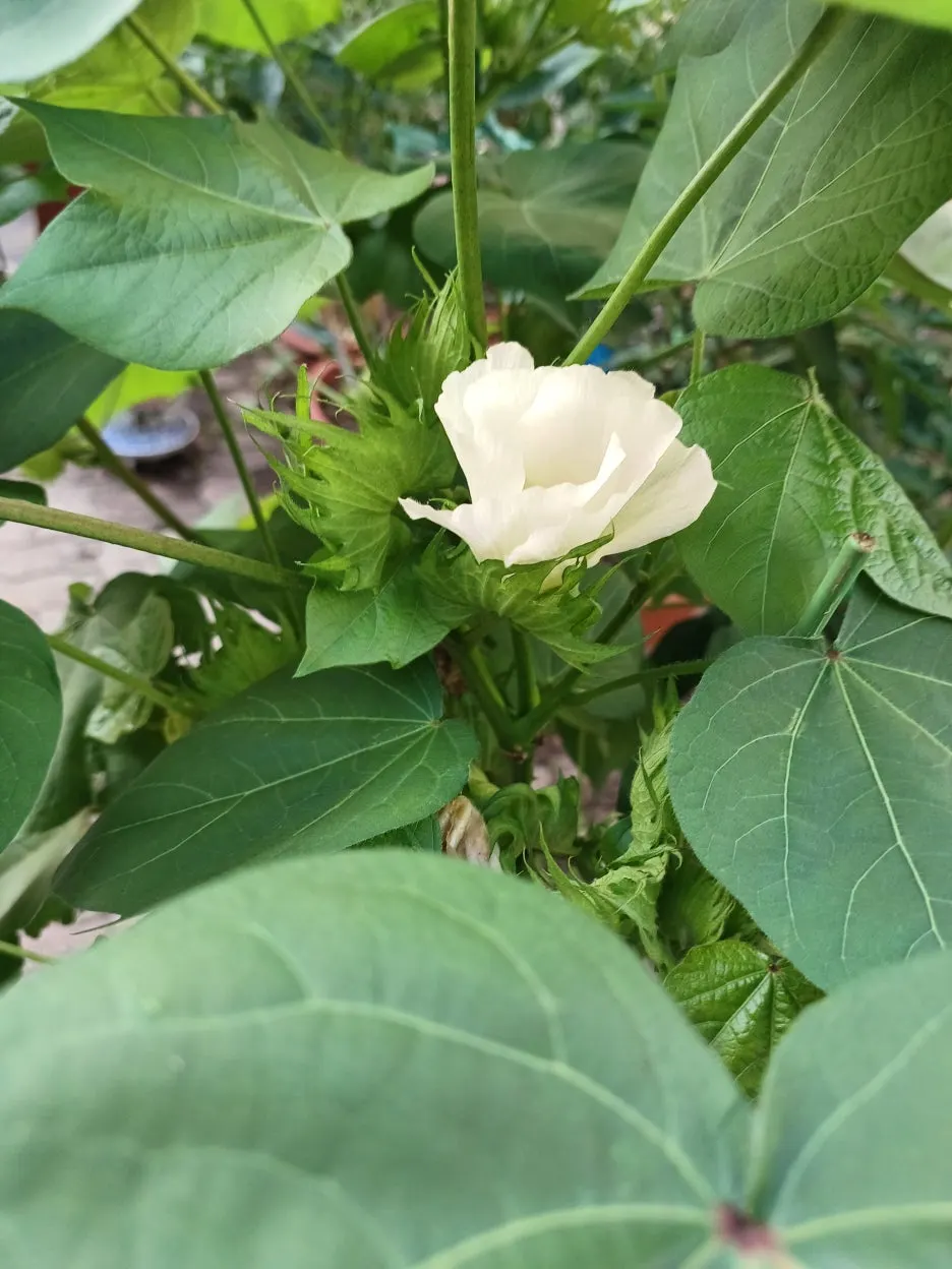 20240721_175707.jpg?type=w1