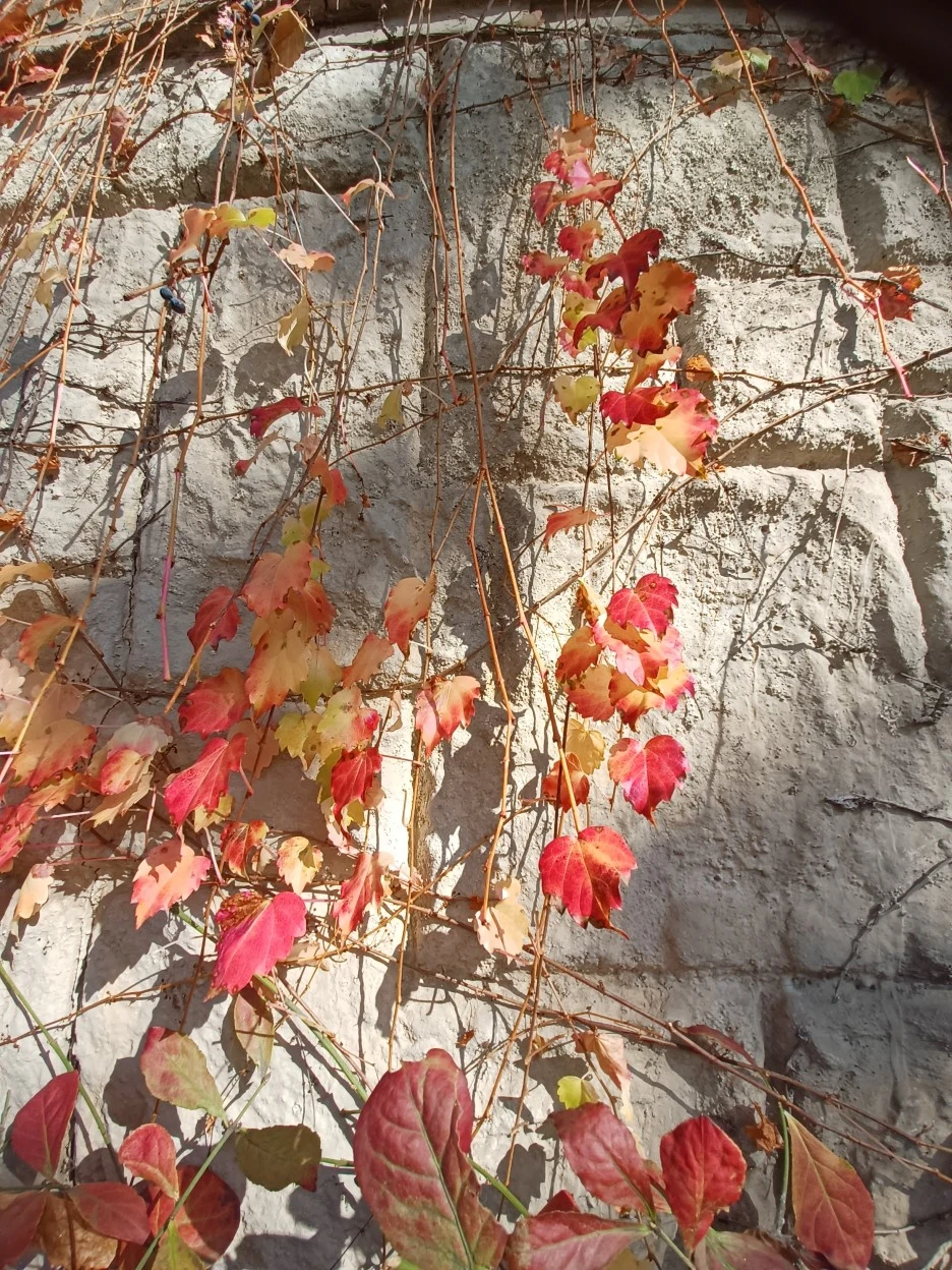 20221116_132226.jpg?type=w1