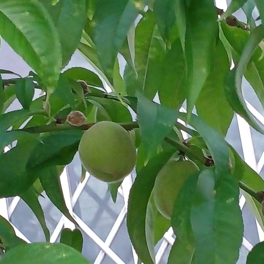 20220609%EF%BC%BF164542.jpg?type=w1