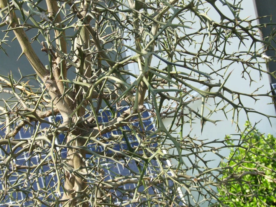 DSCF1689.JPG?type=w1