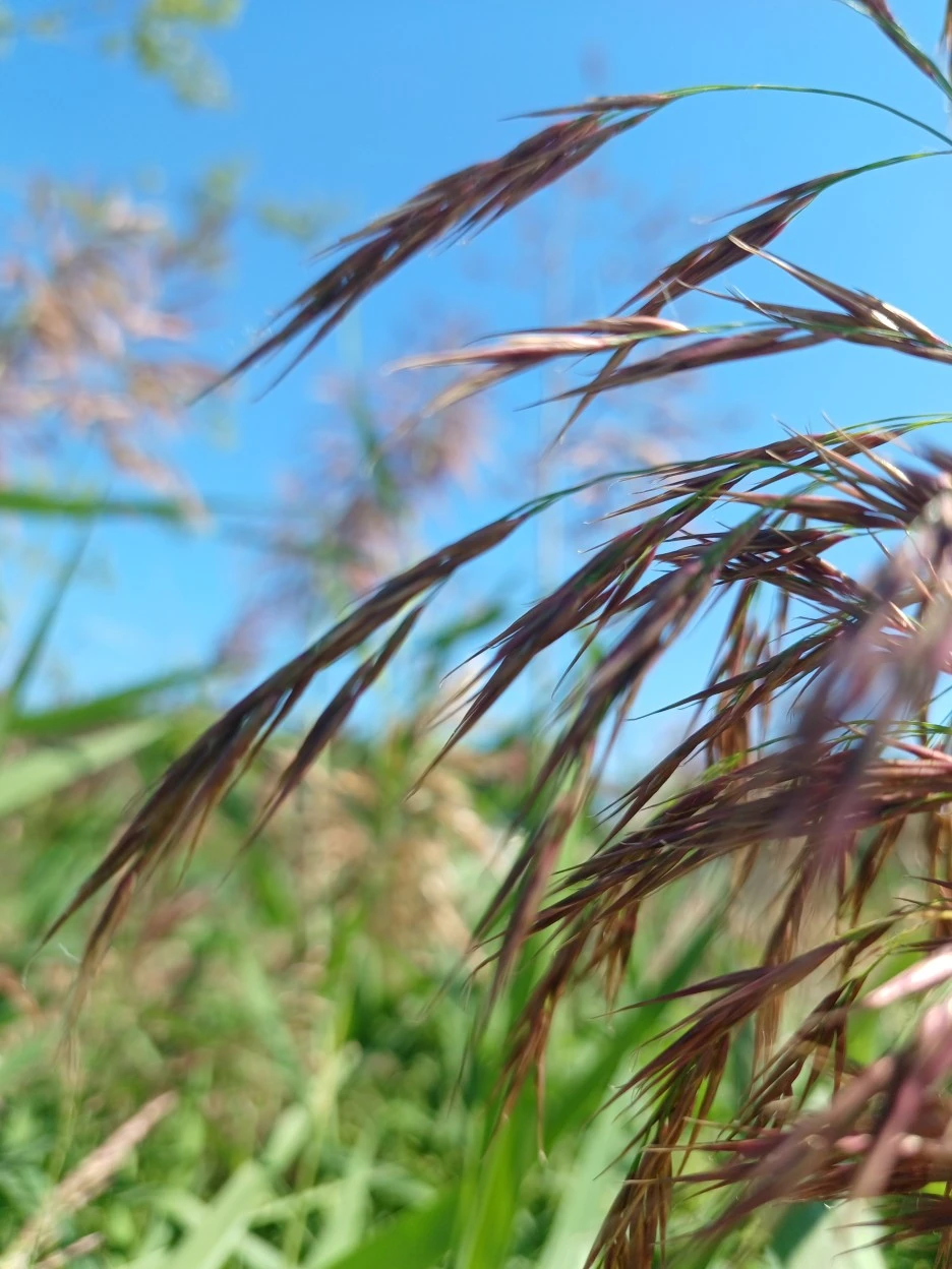 20220924_140833.jpg?type=w1