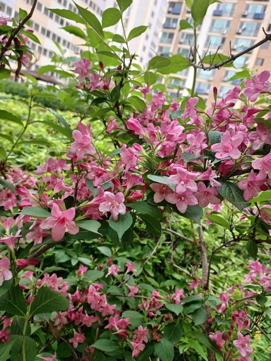 20230507%EF%BC%BF172323.jpg?type=w1