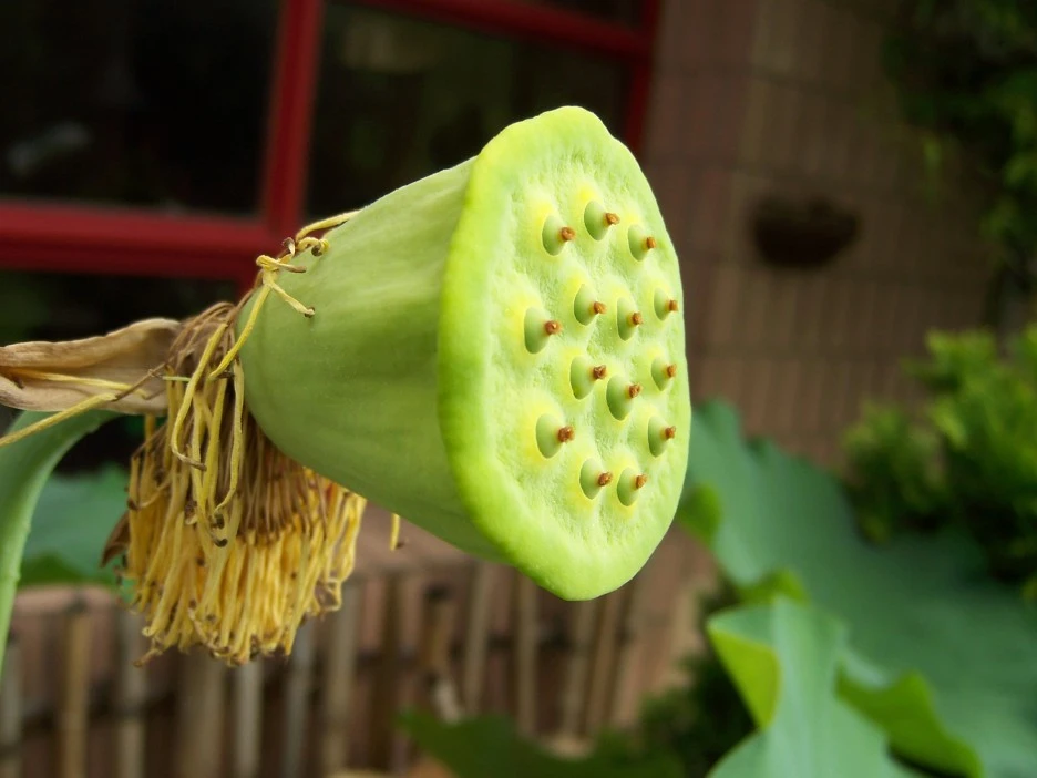 100_7069.jpg?type=w1