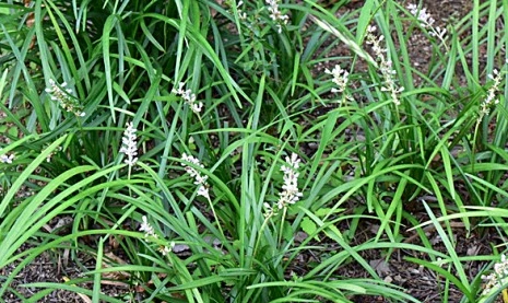 SE-0d61521f-e8f3-43f8-9394-cbce6ae05796.jpg?type=w1