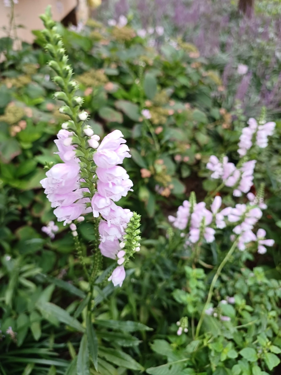 20220910%EF%BC%BF063938.jpg?type=w1