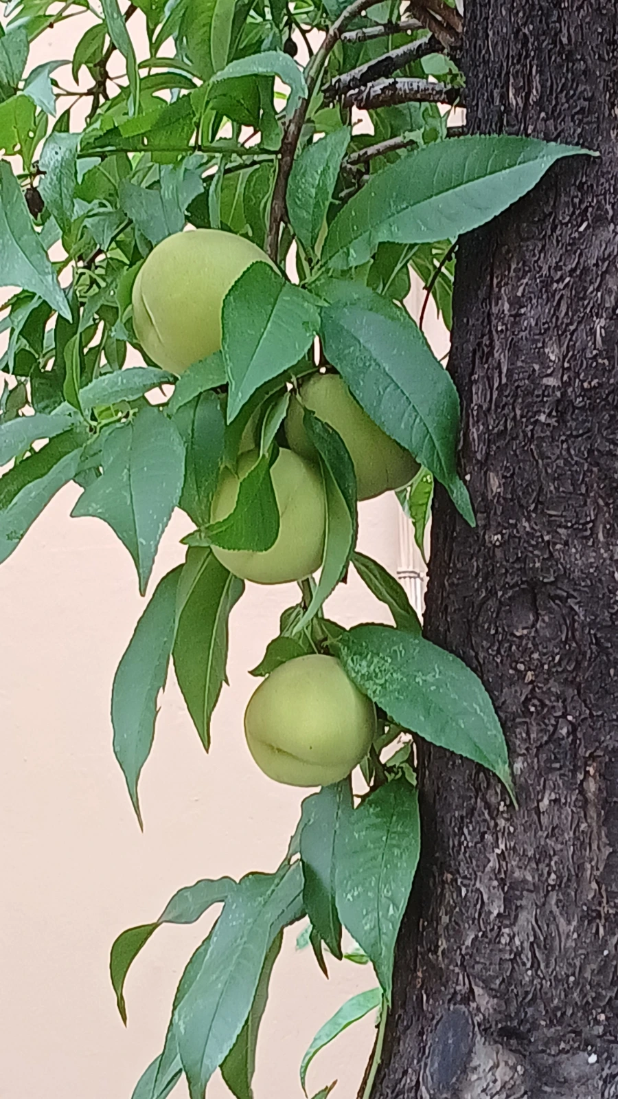 20220807%EF%BC%BF115224.jpg?type=w1