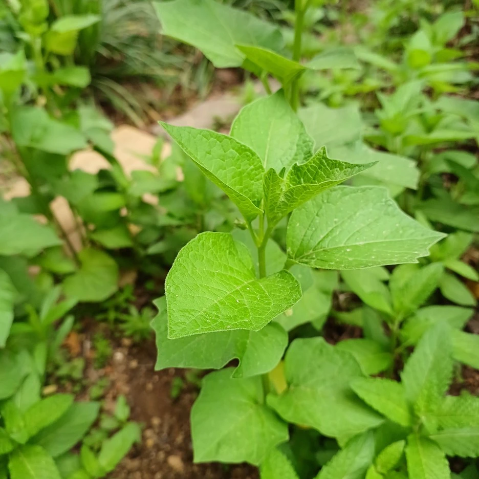 20220508_130209.jpg?type=w1